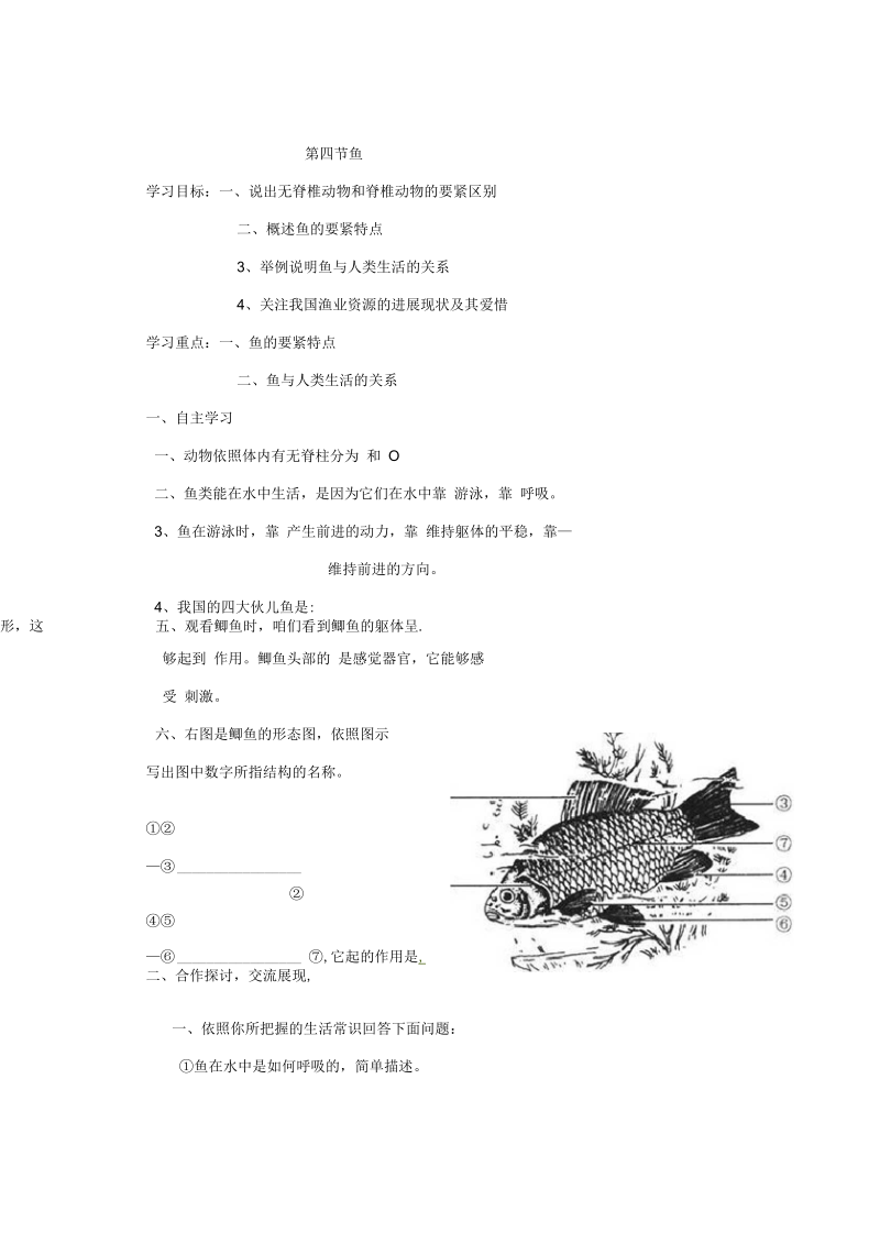 初中生物鱼导学案.docx_第1页