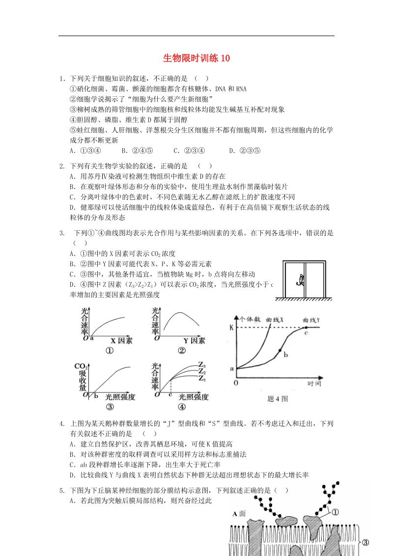 高中生物 限时训练10 新人教版.doc_第1页