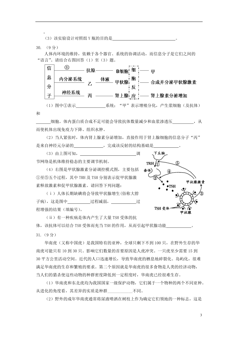 高中生物 限时训练10 新人教版.doc_第3页