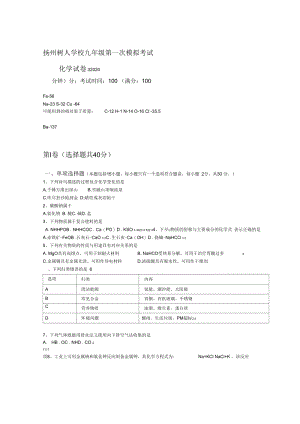 江苏省扬州市树人学校2020届九年级下学期第一次模拟考试化学考试试题Word版.docx