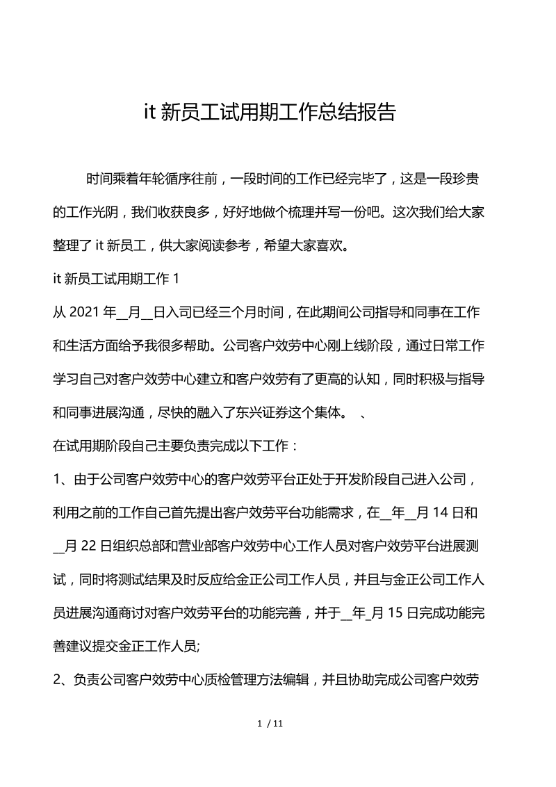 it新员工试用期工作总结报告.docx_第1页