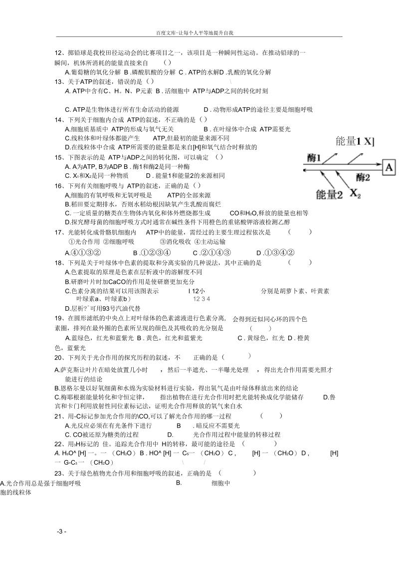 高一生物4月份月考试题.docx_第3页