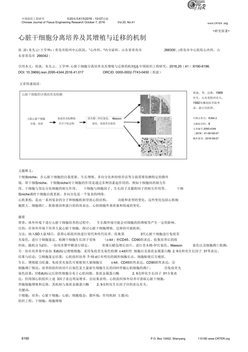 心脏干细胞分离培养及其增殖与迁移的机制汇编.docx_第1页