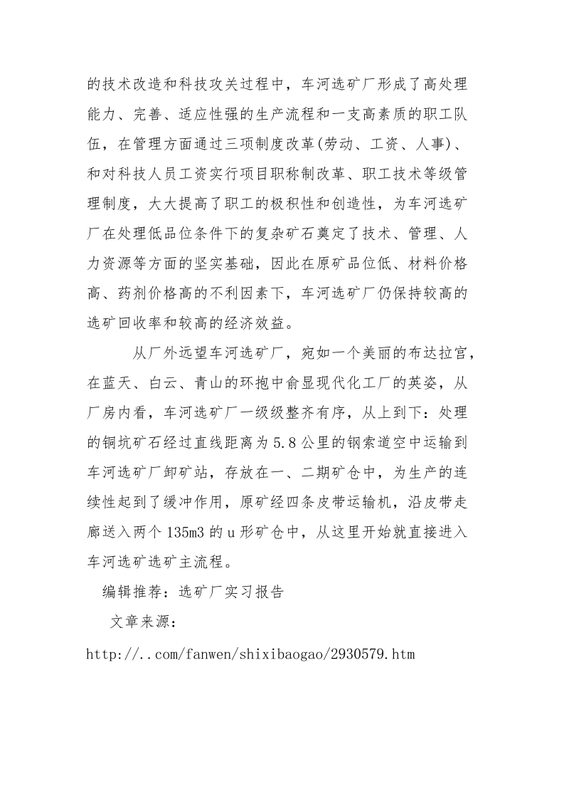 选矿厂实习报告范文.docx_第3页