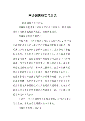 网络销售员实习周记.docx