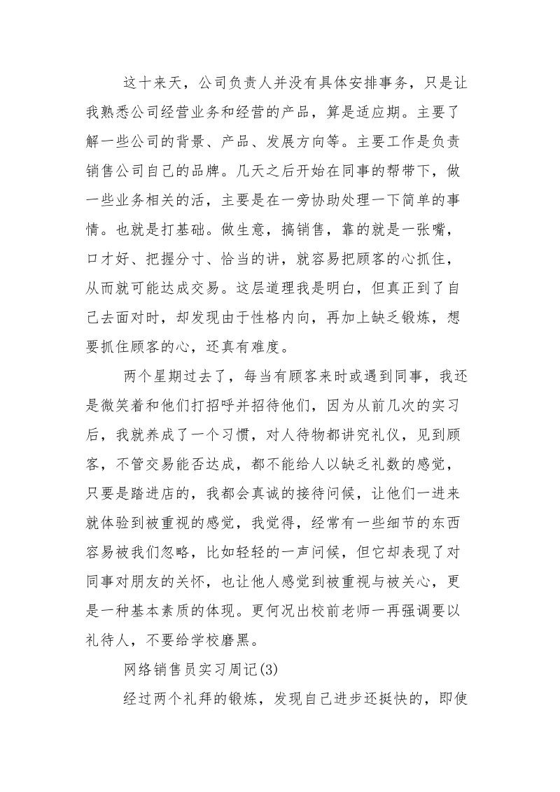 网络销售员实习周记.docx_第2页