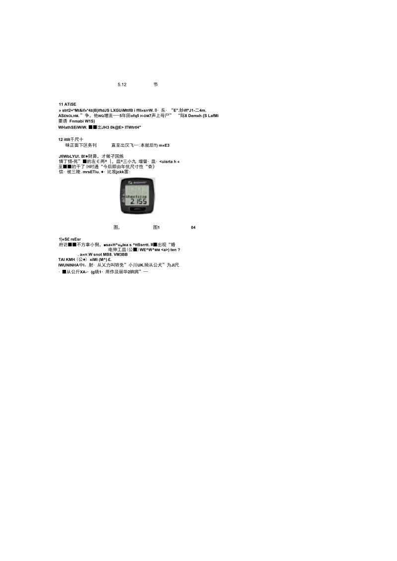 西格玛SIGMABC5.12码表说明书综述.docx_第1页