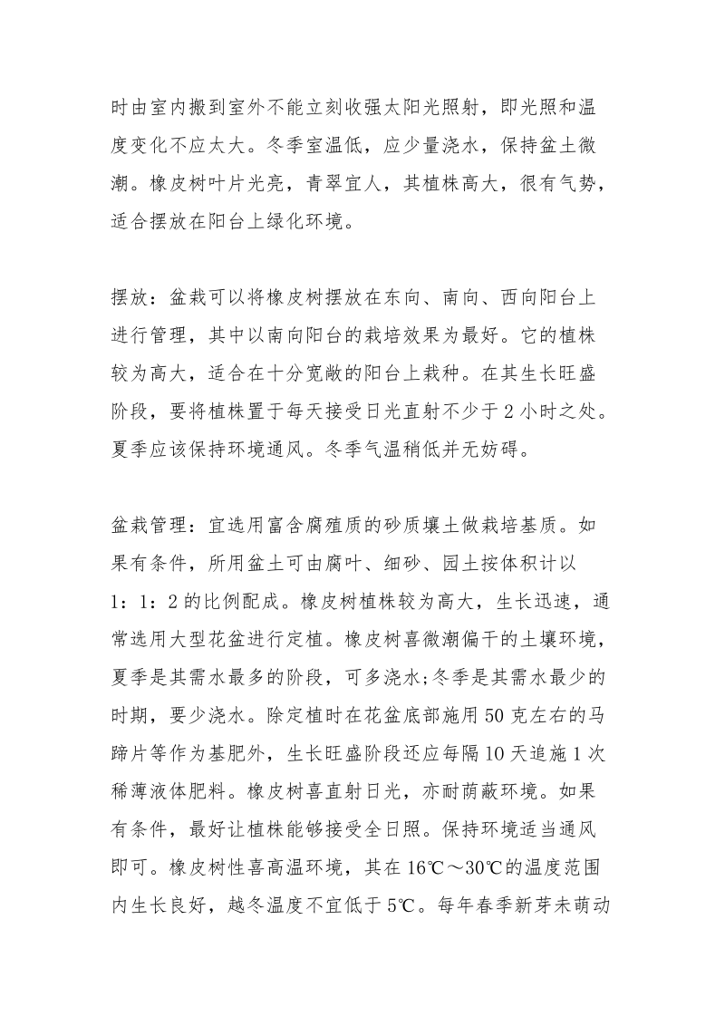 橡皮树的养殖方法和注意事项.docx_第2页