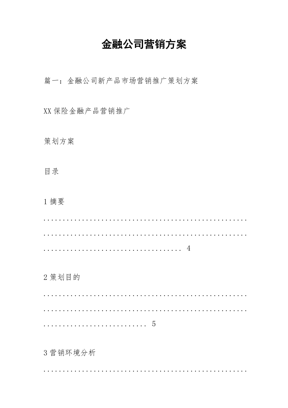 金融公司营销方案.docx_第1页