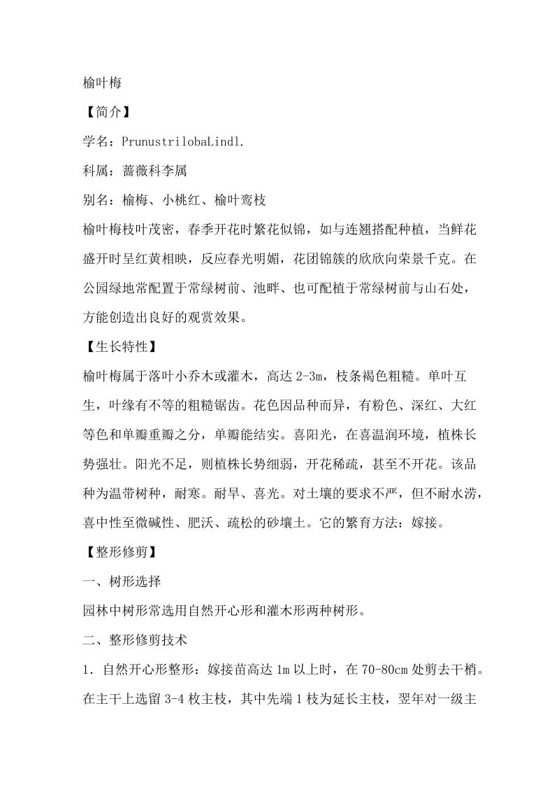 榆叶梅的整形修剪技术.doc_第1页