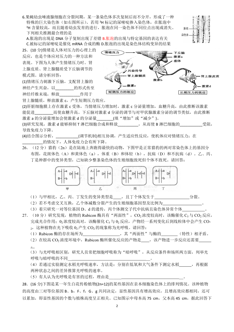 高三生物下学期周练二.doc_第2页