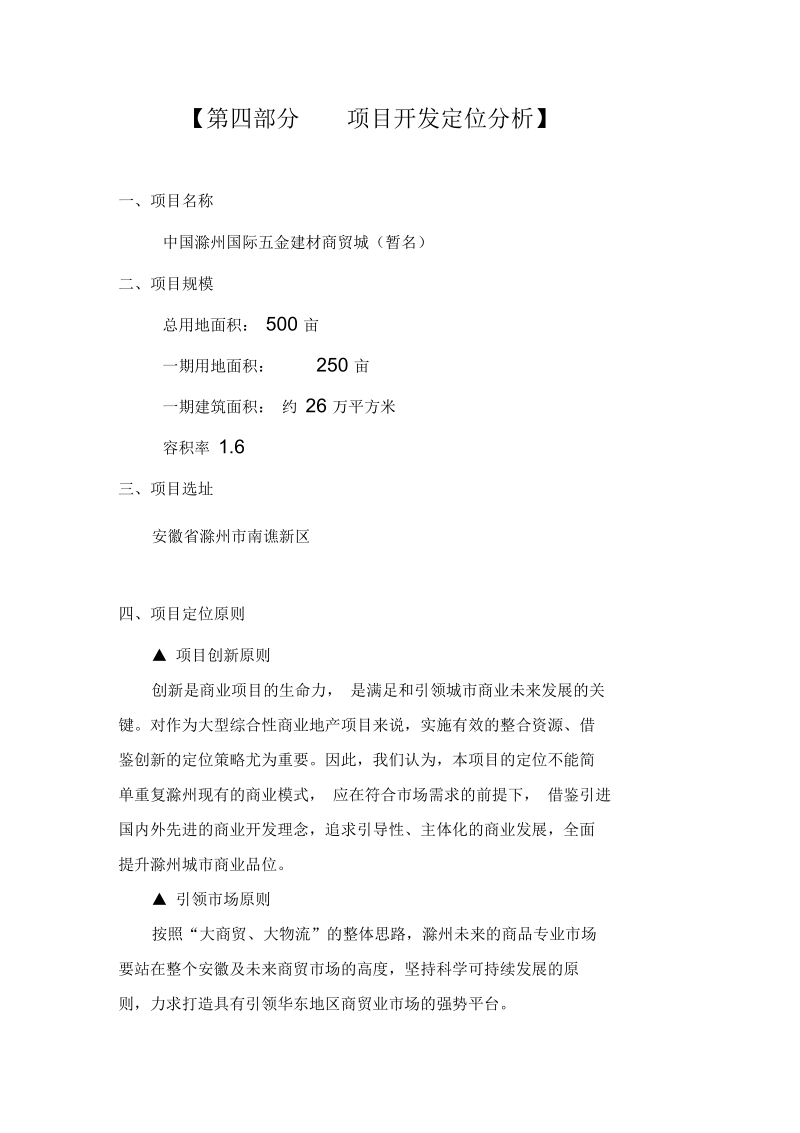 项目开发定位分析.docx_第1页