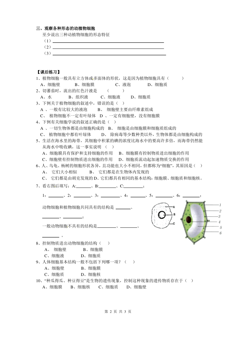 动物细胞和植物细胞教案15.pdf_第2页