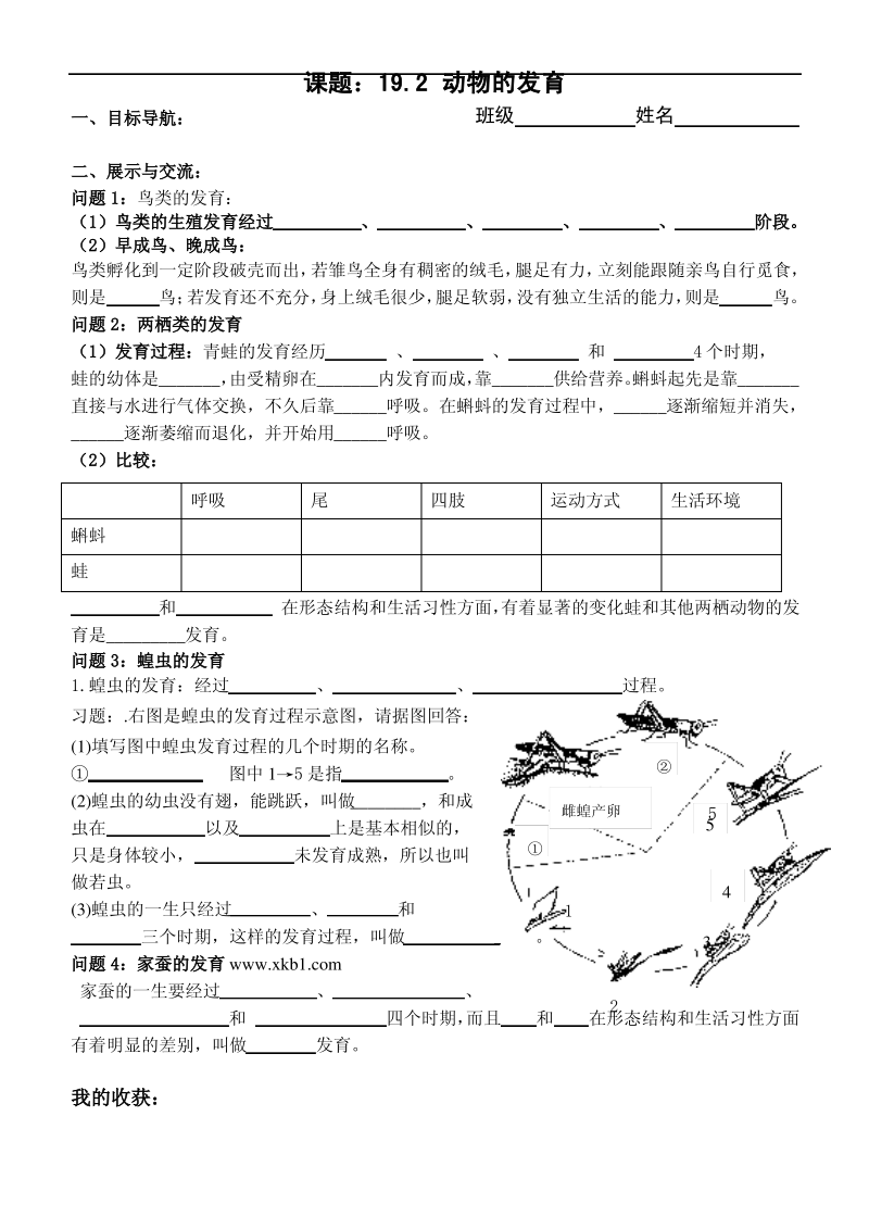 动物的发育导学案.pdf_第1页