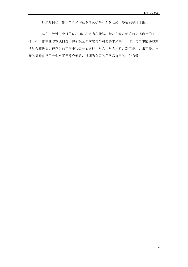 试用期转正工作报告.pdf_第3页