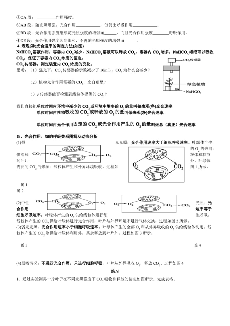 光合作用的影响身分和原理的应用习题.pdf_第2页