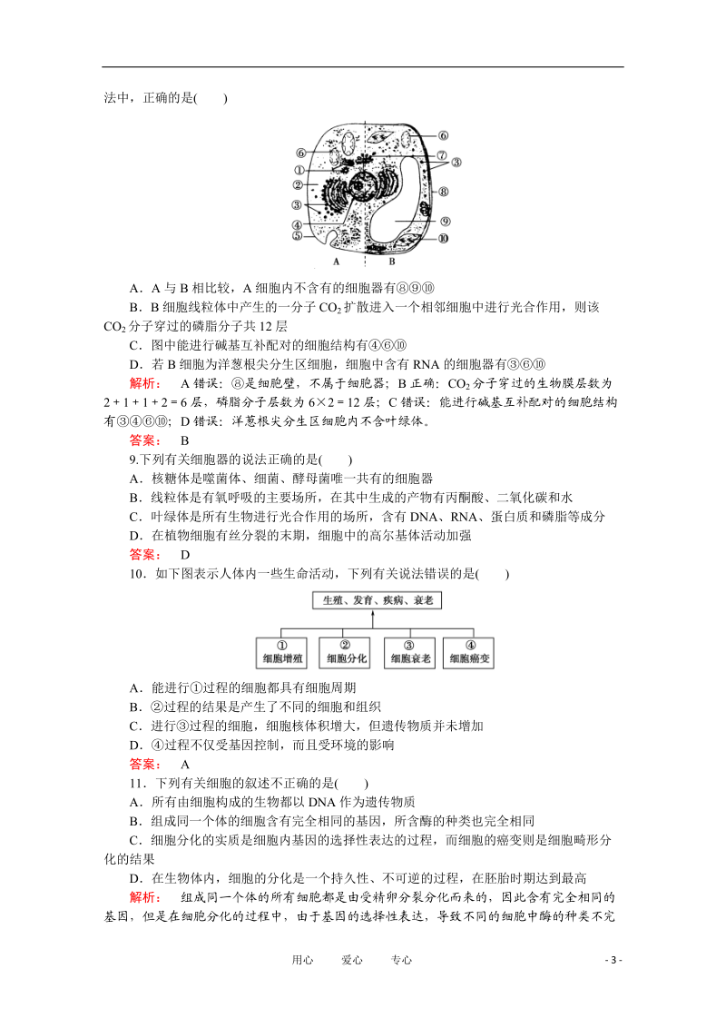 2012高考生物 专项考能集训（2） 显微镜的使用定时作业 大纲人教版.doc_第3页