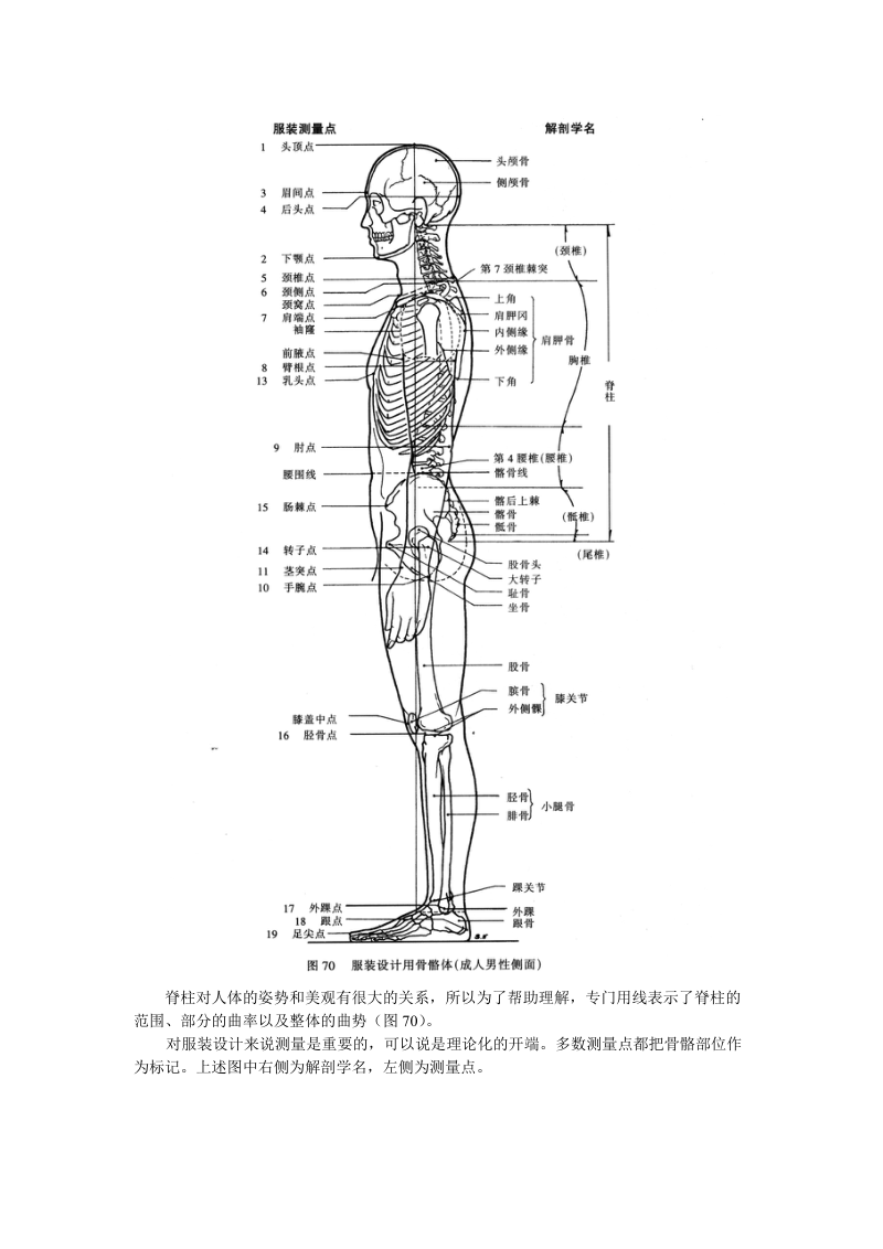 第一章服装设计中的人体结构特征.doc_第2页