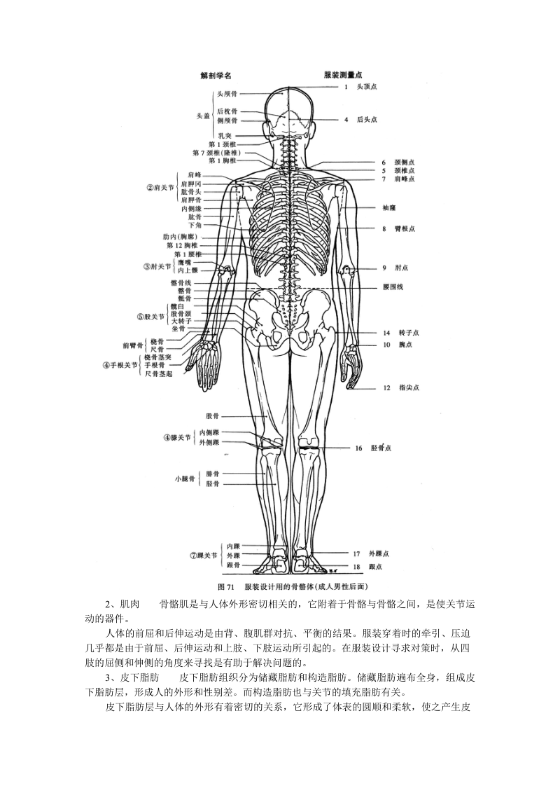 第一章服装设计中的人体结构特征.doc_第3页