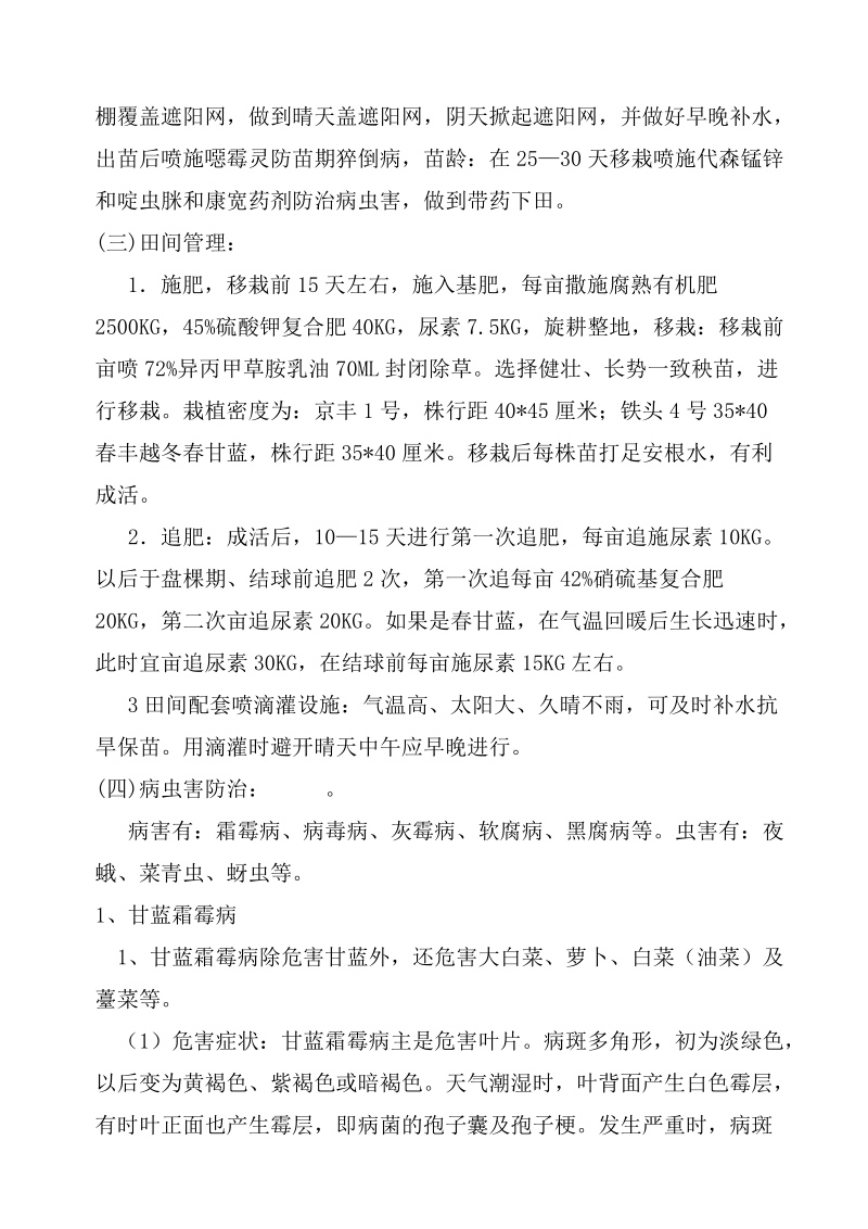 结球甘蓝高效栽培及病虫害防治技术.doc_第2页