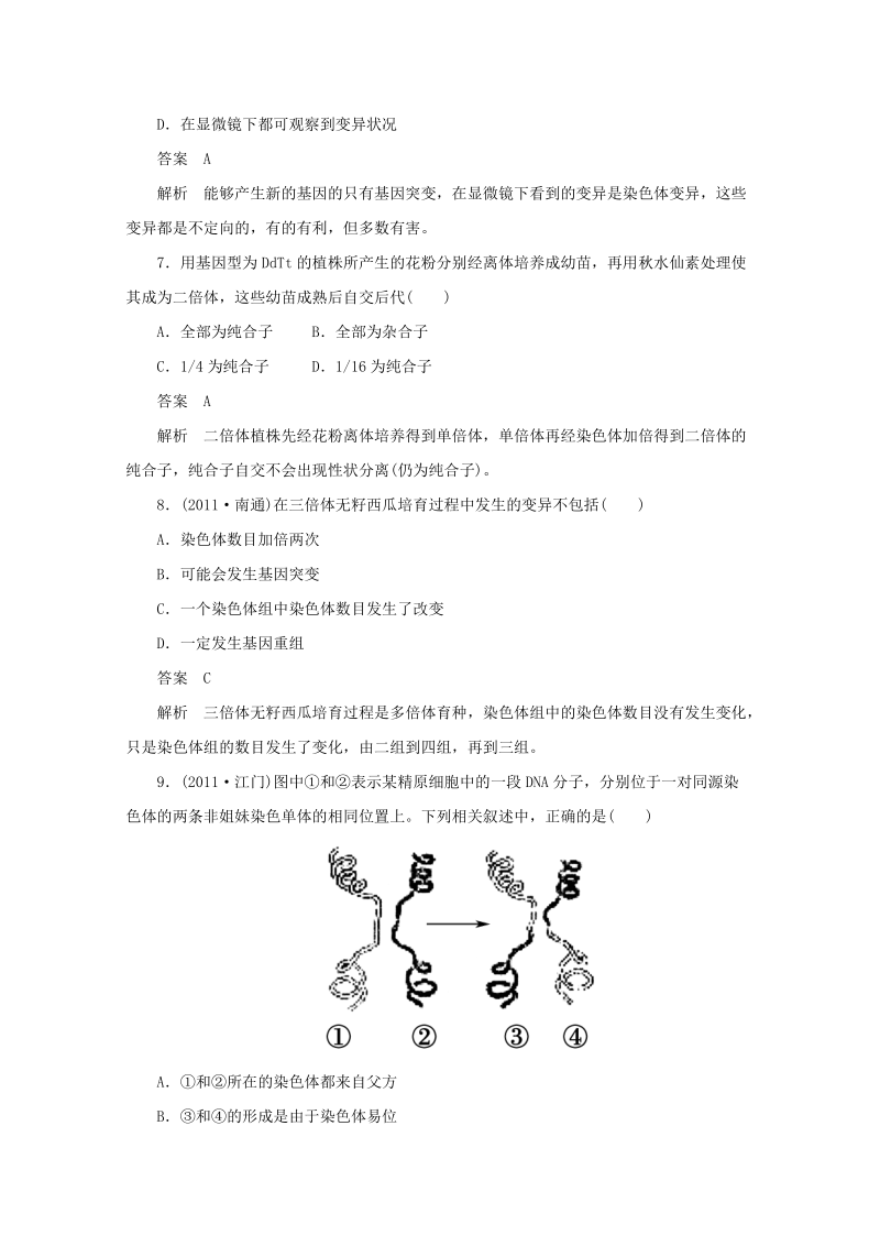 2013年高考生物一轮复习 4.2 染色体变异精练精析 新人教版必修.doc_第3页