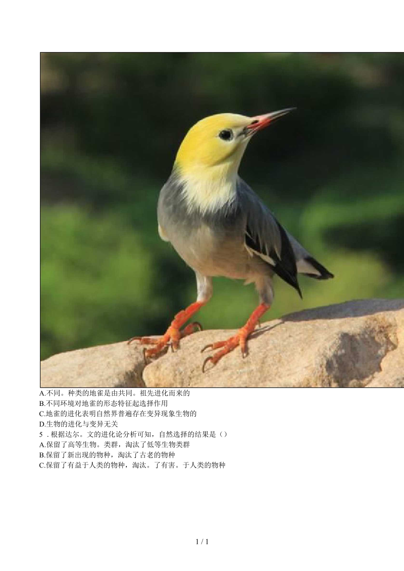 2019八年级生物下册：生物进化的原因综合训练无答案.docx_第3页