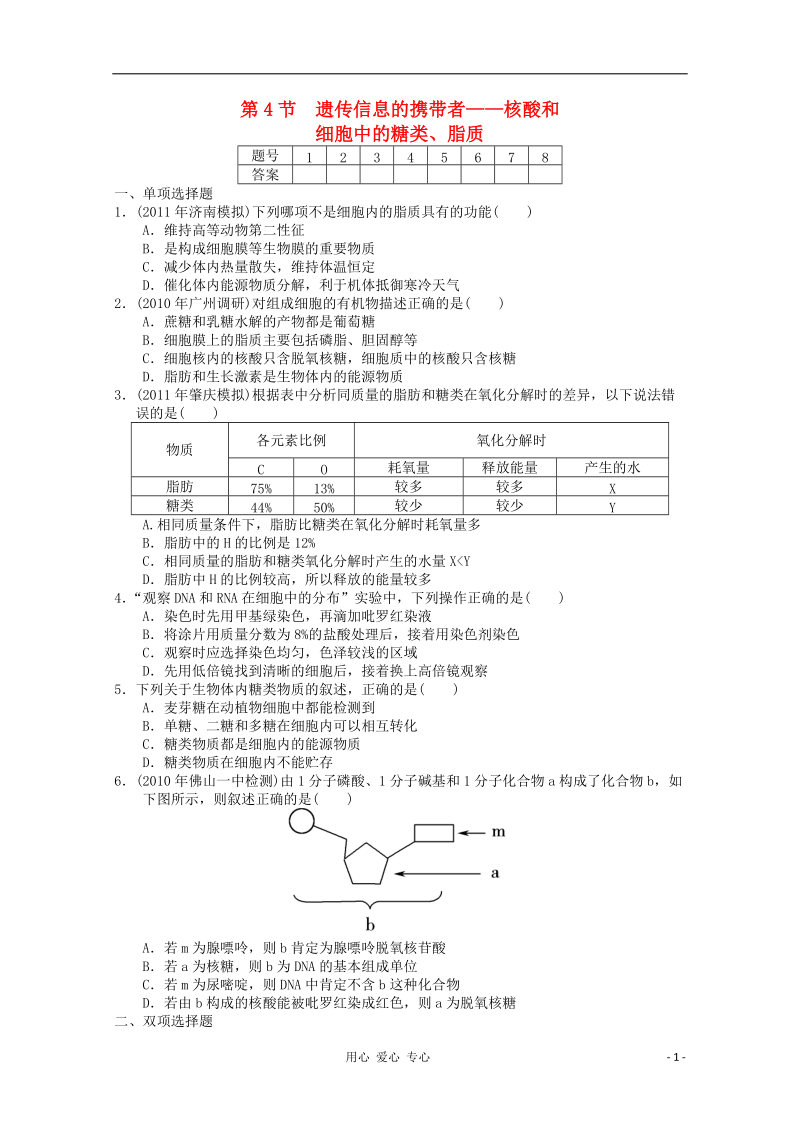 高中生物复习 遗传信息的携带者学案.doc_第1页