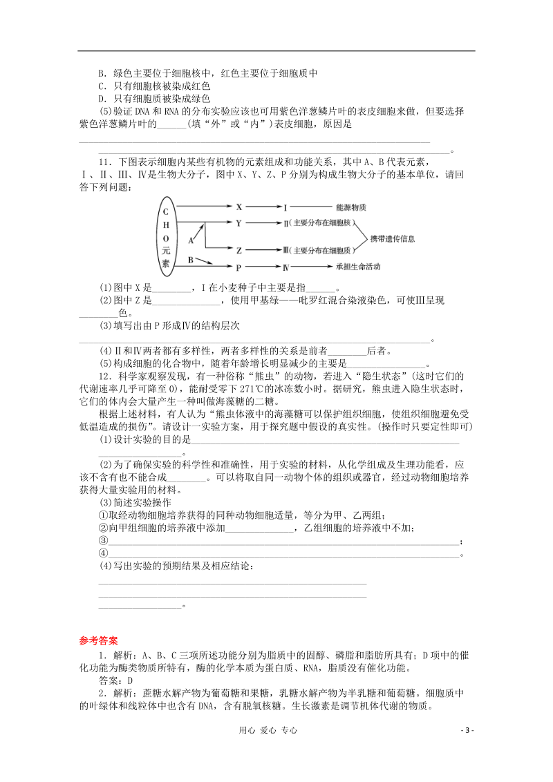 高中生物复习 遗传信息的携带者学案.doc_第3页