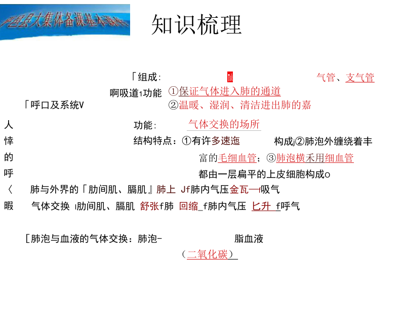 人教版七年级下册生物4.3人体的呼吸+复习完整.docx_第3页