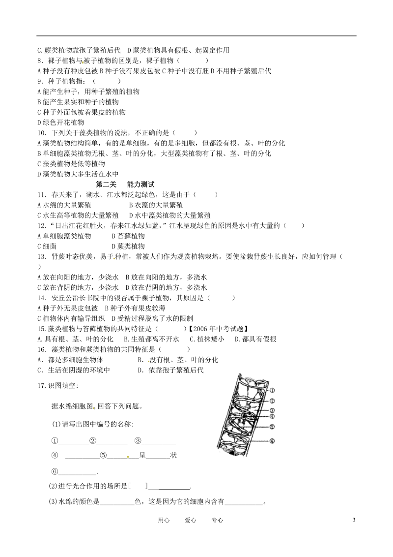 山东省高密市银鹰文昌中学七年级生物上册 绿色植物的主要类群学案（无答案）.doc_第3页