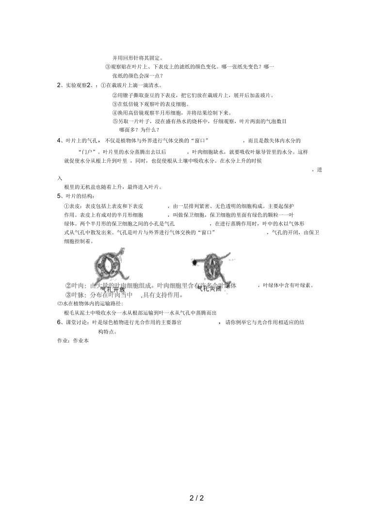 浙教版科学八年级下册《叶的蒸腾作用和结构》教案.docx_第2页