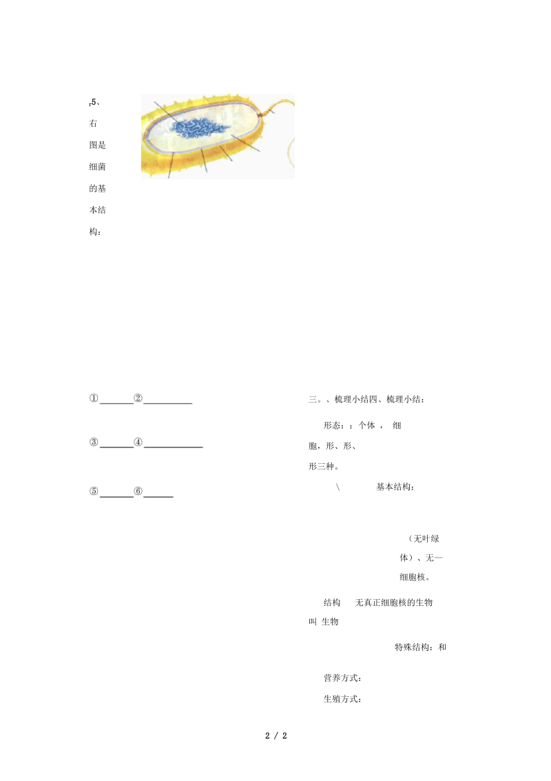 山西省阳泉市八年级生物上册第五单元第四章第二节细菌导学案(无答案)(新版)新人教版.docx_第2页