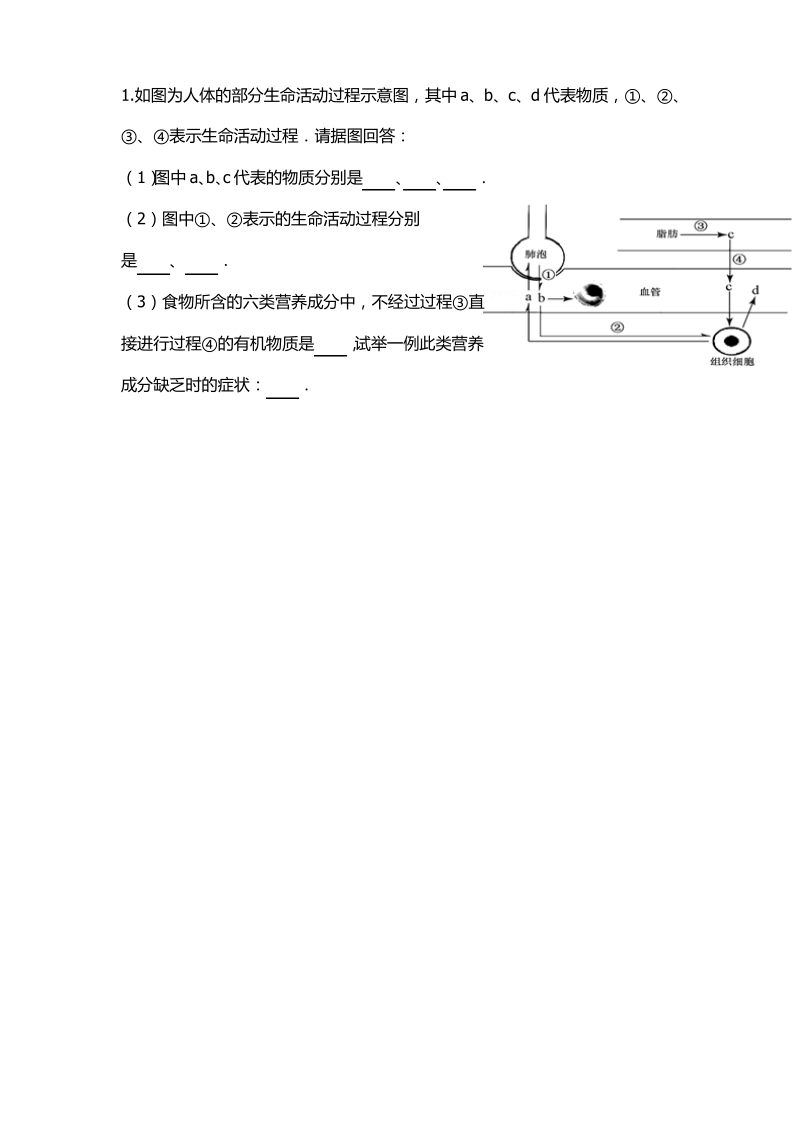 济南版生物七下第二单元第二章第二节人体内能量的利用复习学案.pdf_第3页