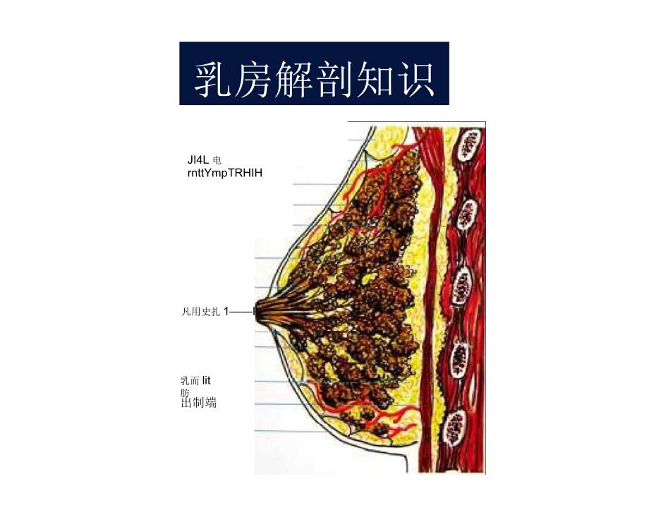 乳腺X线精品图片诊断.docx_第2页