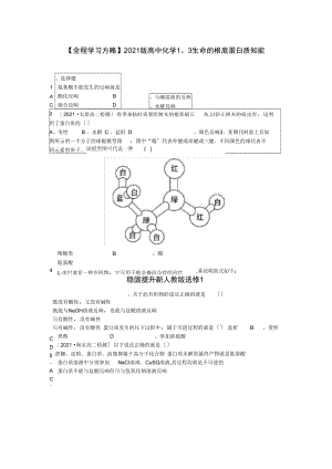 2021人教版高中化学选修一13《生命的基础蛋白质》能力提升训练.docx