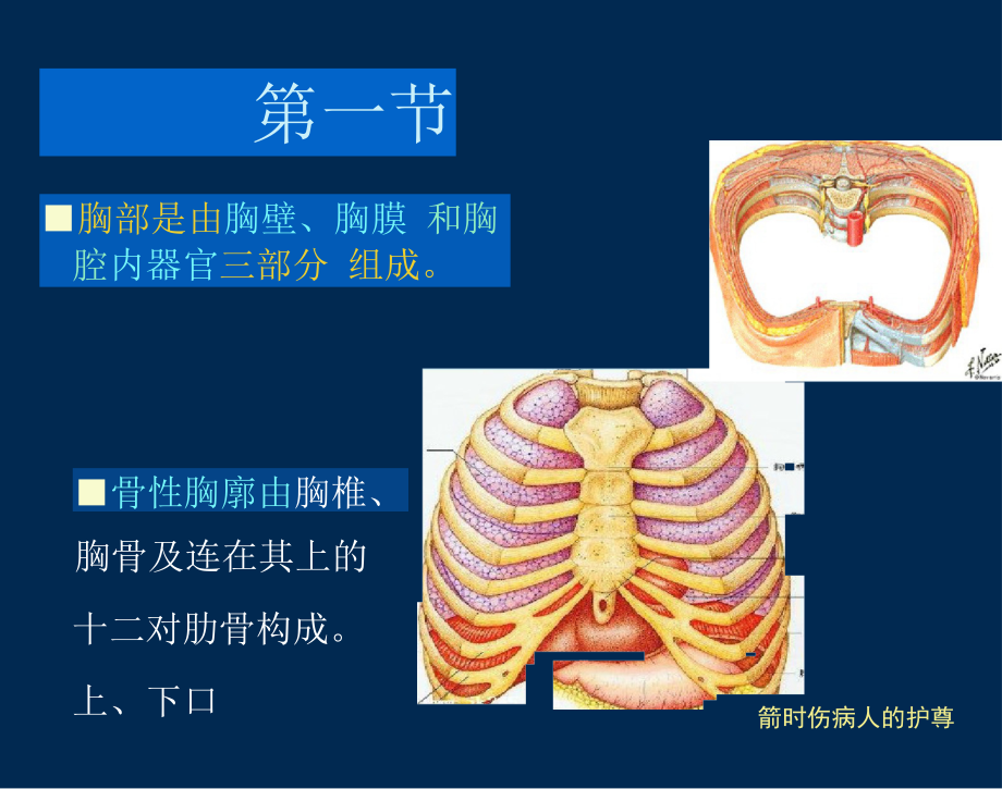 胸部损伤病人的护理(校).docx_第3页