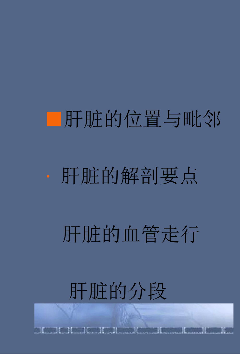 肝胆胰脾解剖.docx_第3页