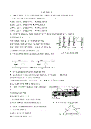 高中生物光合作用精选练习题(含解释).docx