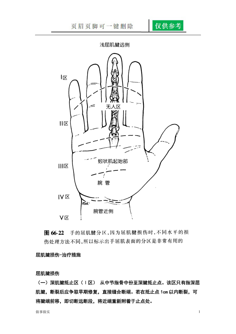 手部肌腱分区 8区法图片