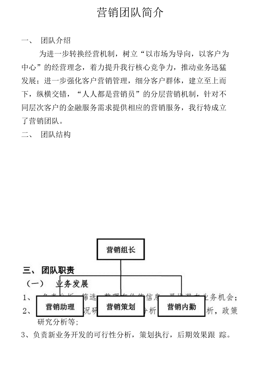 演示文档营销团队简介.doc_第1页