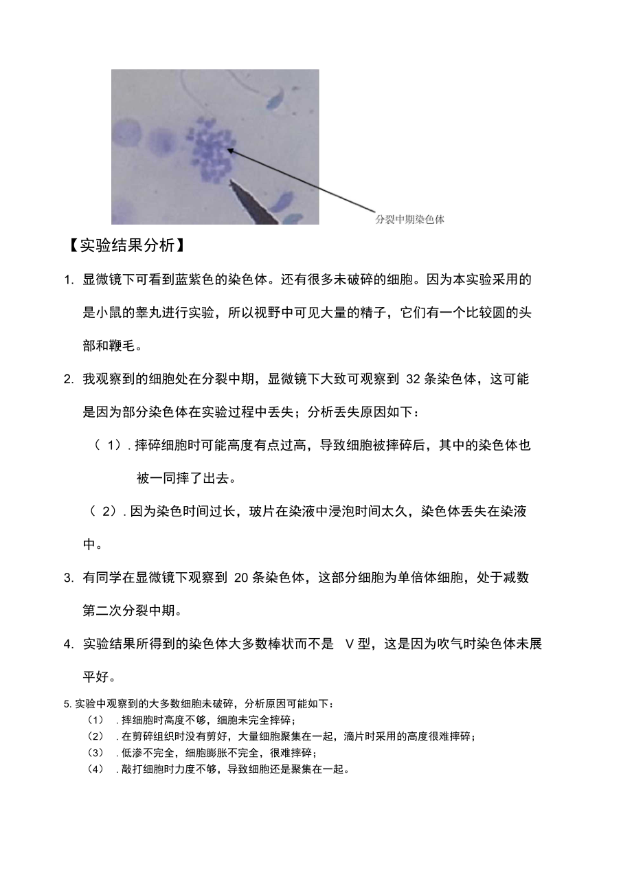 染色体标本的制作及组型观察.doc_第3页