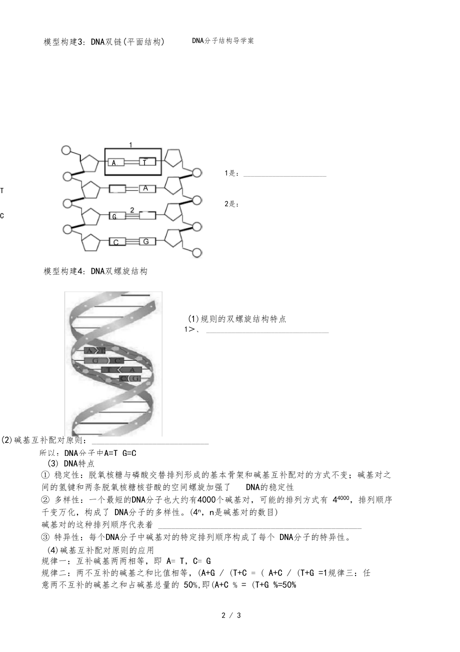 DNA分子结构导学案.doc_第2页