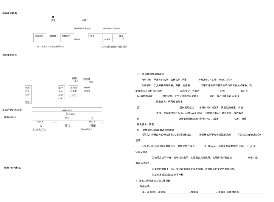 组成细胞的分子概念图汇编.docx_第2页