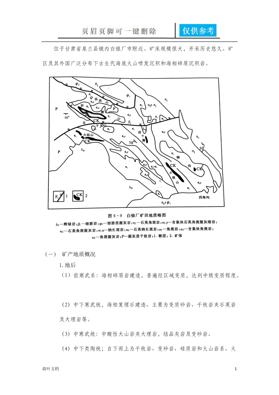 甘肃白银厂黄铁矿型铜矿床[业界经验].doc_第1页