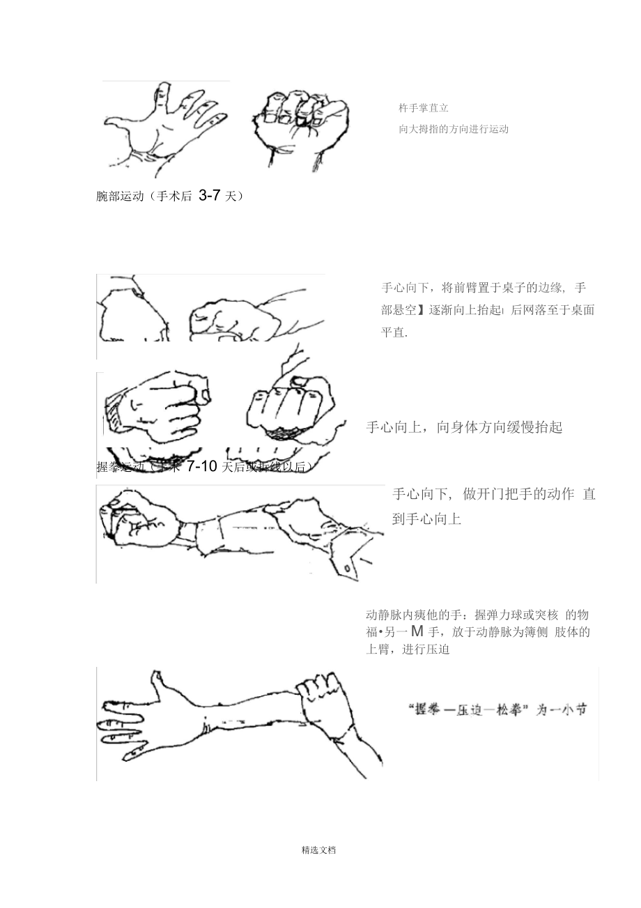 内瘘术后的功能锻最年终版.docx_第3页