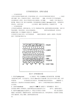 关节软骨的发育.docx