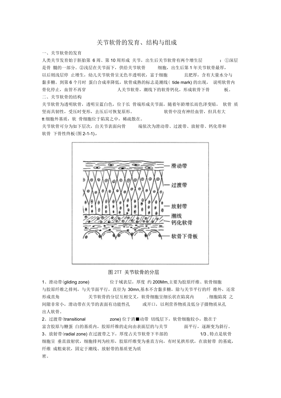 关节软骨的发育.docx_第1页