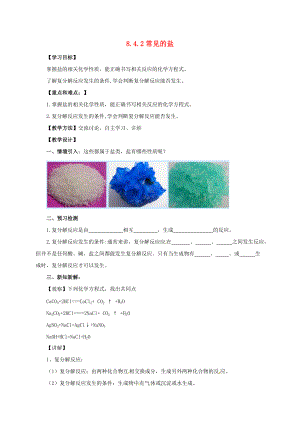 九年级化学下册 8.4.2 常见的盐教案 （新版）粤教版.doc