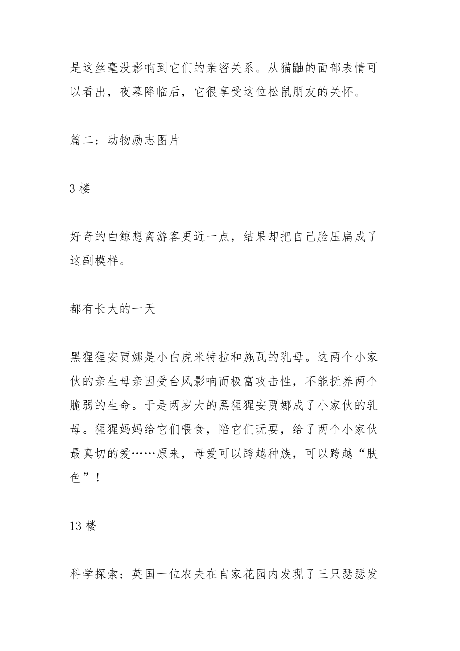 励志QQ网名动物励志表情字符大全.docx_第2页