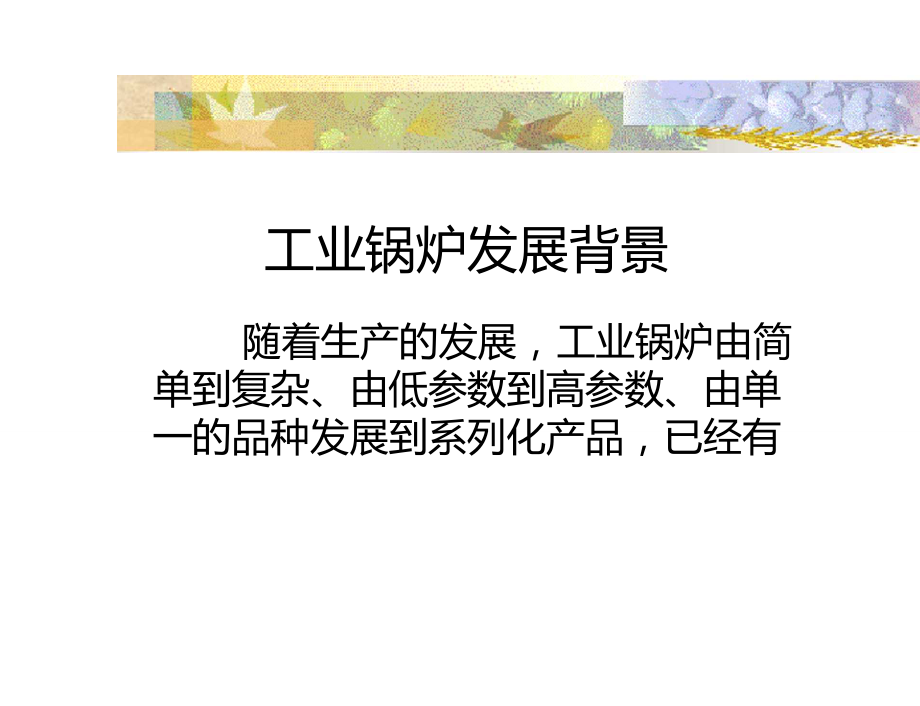 工业锅炉的种类和结构简介.doc_第2页